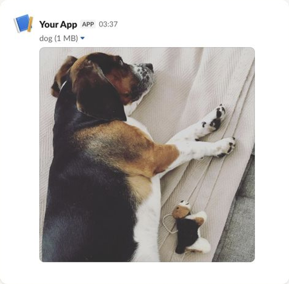 An example of the UI output of an Image Block